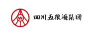四川五粮液集团