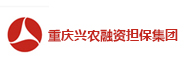 重庆兴农融资担保集团