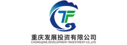 重庆发展投资有限公司