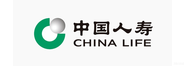 中国人寿保险